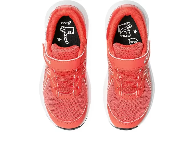 CONTEND 9 PRÉ-ESCOLA CONTEND 9 PRÉ-ESCOLA