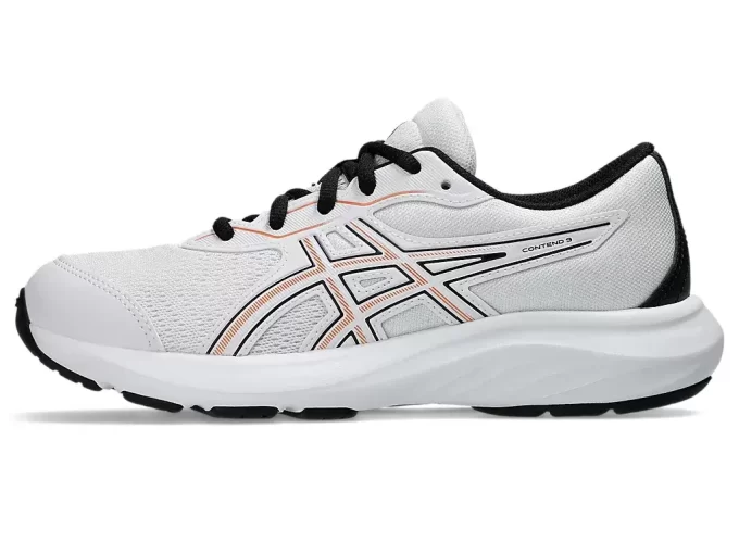 CONTENDO O 9º ANO DO ENSINO FUNDAMENTAL CONTENDO O 9º ANO DO ENSINO FUNDAMENTAL