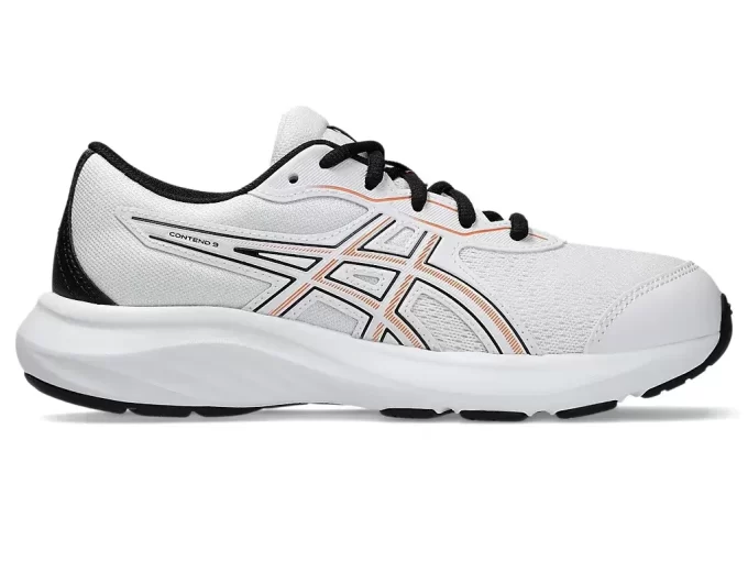 CONTENDO O 9º ANO DO ENSINO FUNDAMENTAL CONTENDO O 9º ANO DO ENSINO FUNDAMENTAL