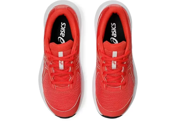 CONTENDO O 9º ANO DO ENSINO FUNDAMENTAL CONTENDO O 9º ANO DO ENSINO FUNDAMENTAL