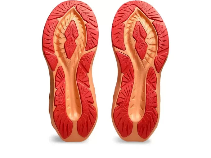 ESCOLA DE 5º ANO NOVABLAST ESCOLA DE 5º ANO NOVABLAST