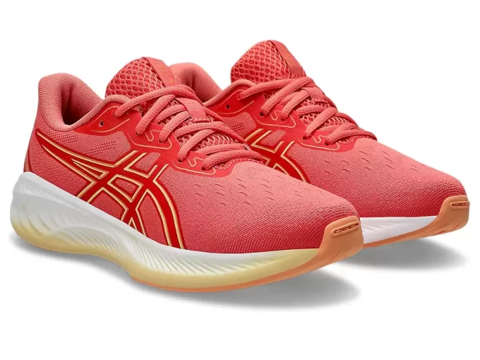 GEL-CUMULUS 26 ESCOLA PRIMÁRIA GEL-CUMULUS 26 ESCOLA PRIMÁRIA