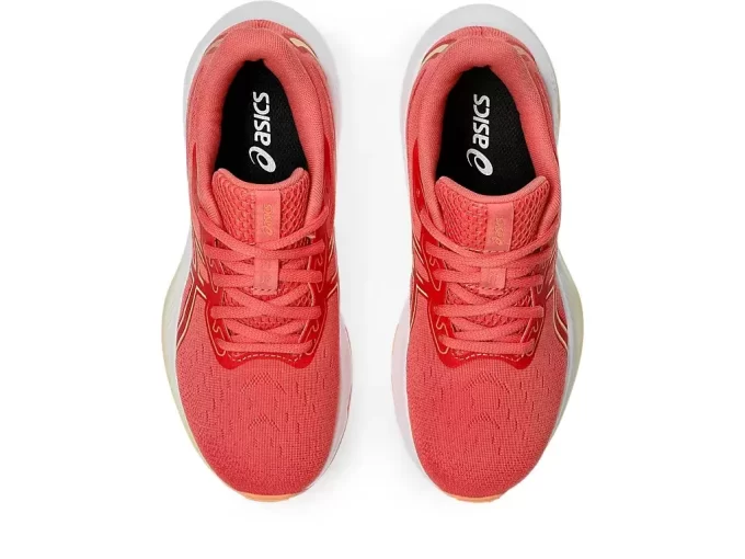 GEL-CUMULUS 26 ESCOLA PRIMÁRIA GEL-CUMULUS 26 ESCOLA PRIMÁRIA