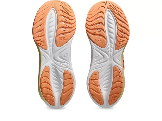 GEL-CUMULUS 26 ESCOLA PRIMÁRIA GEL-CUMULUS 26 ESCOLA PRIMÁRIA