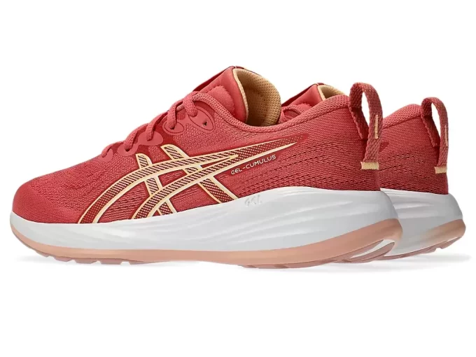 GEL-CUMULUS 27 ESCOLA PRIMÁRIA GEL-CUMULUS 27 ESCOLA PRIMÁRIA