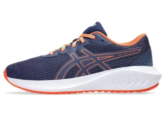 GEL-EXCITE 10º ANO DO ENSINO FUNDAMENTAL