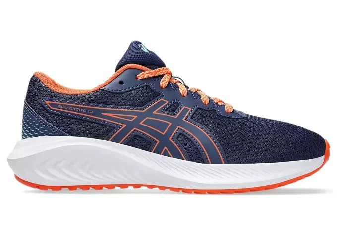 GEL-EXCITE 10º ANO DO ENSINO FUNDAMENTAL GEL-EXCITE 10º ANO DO ENSINO FUNDAMENTAL