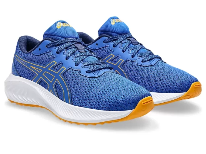 GEL-EXCITE 10º ANO DO ENSINO FUNDAMENTAL GEL-EXCITE 10º ANO DO ENSINO FUNDAMENTAL