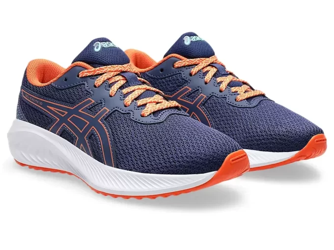 GEL-EXCITE 10º ANO DO ENSINO FUNDAMENTAL GEL-EXCITE 10º ANO DO ENSINO FUNDAMENTAL