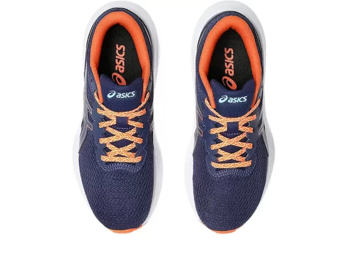 GEL-EXCITE 10º ANO DO ENSINO FUNDAMENTAL GEL-EXCITE 10º ANO DO ENSINO FUNDAMENTAL