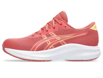 GEL-EXCITE 11º ANO DO ENSINO FUNDAMENTAL