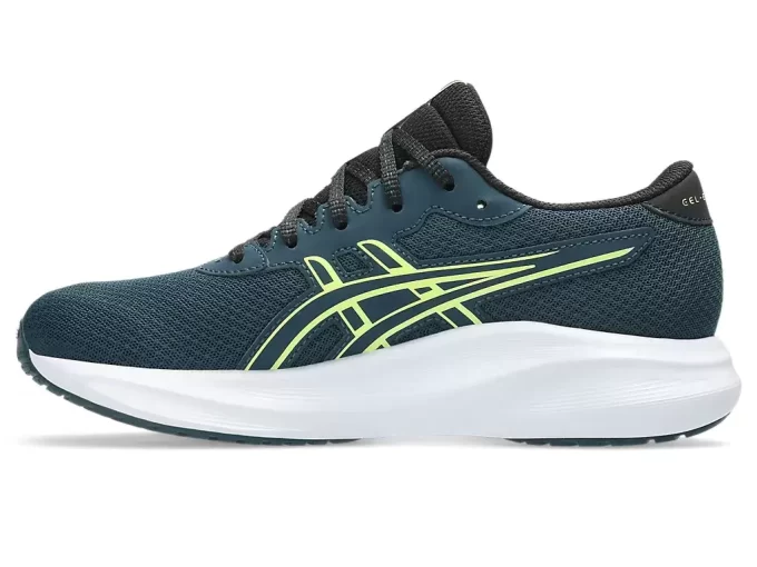 GEL-EXCITE 11º ANO DO ENSINO FUNDAMENTAL GEL-EXCITE 11º ANO DO ENSINO FUNDAMENTAL