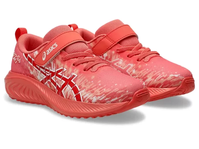 PRÉ-ESCOLA NOOSA TRI 16 PRÉ-ESCOLA NOOSA TRI 16