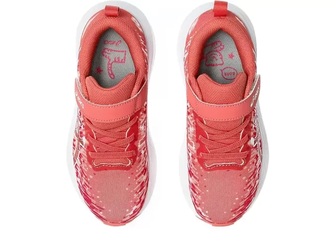 PRÉ-ESCOLA NOOSA TRI 16 PRÉ-ESCOLA NOOSA TRI 16