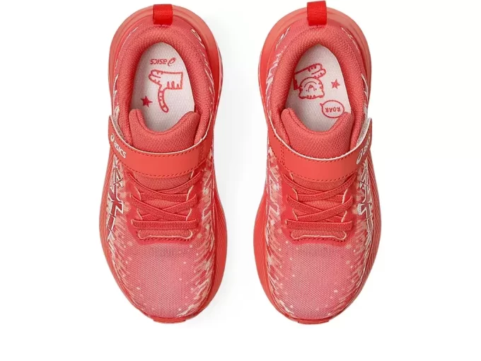 PRÉ-ESCOLA NOOSA TRI 16 PRÉ-ESCOLA NOOSA TRI 16