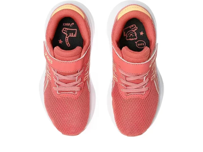 PRÉ-ESCOLA PRE-EXCITE 11 PRÉ-ESCOLA PRE-EXCITE 11