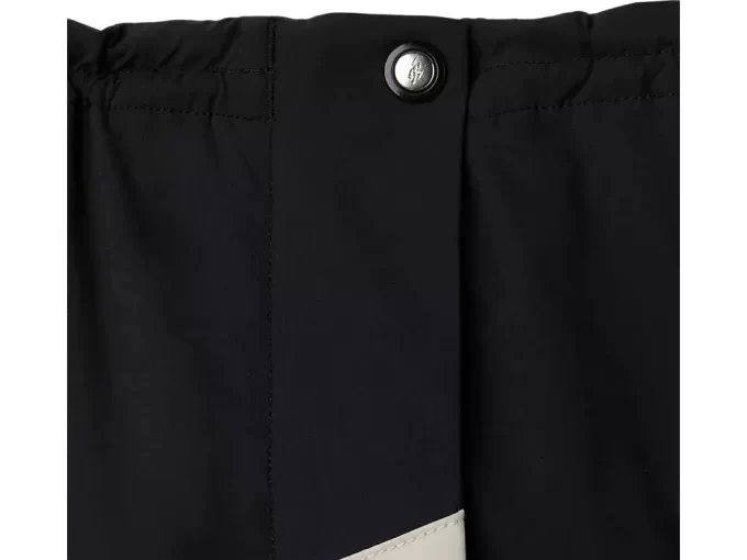 SAIA ENVOLVENTE LIATRISORY