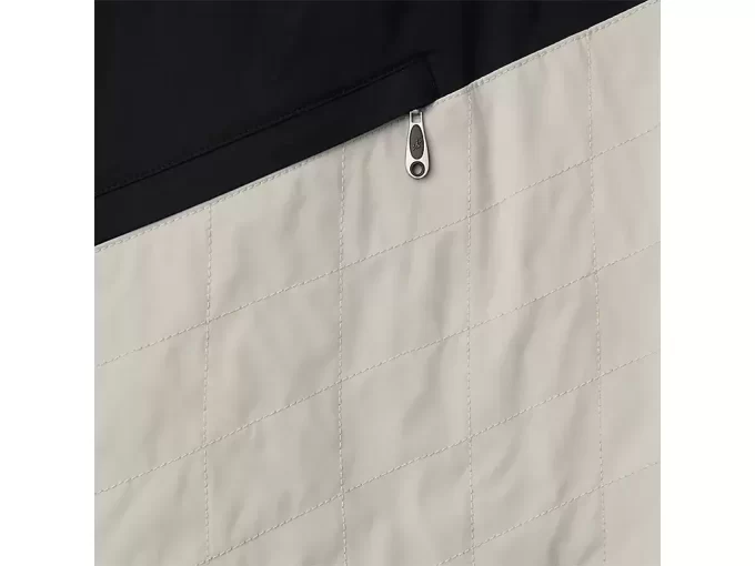 SAIA ENVOLVENTE LIATRISORY