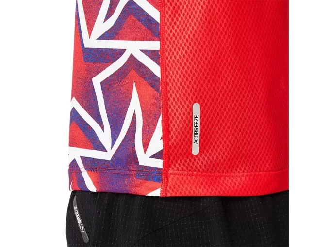 TANQUES DE CONTROLE DE NAÇÕES TANQUES DE CONTROLE DE NAÇÕES